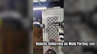 Robotic Precision Deburring Equipment for Die-Cast Aluminum Alloy Housings